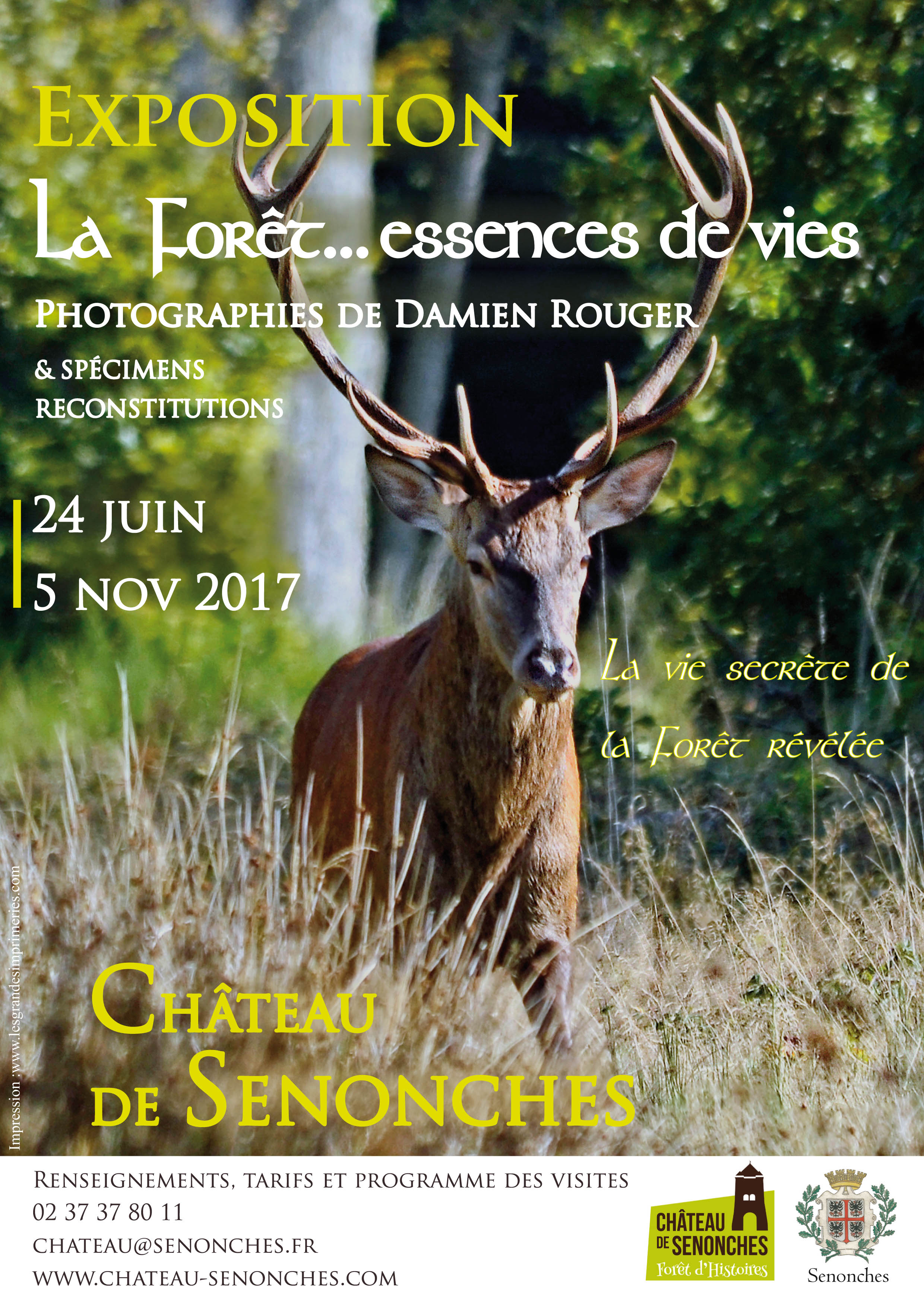 La Forêt… essences de vies